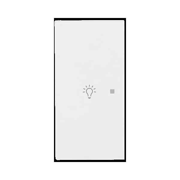 Busch-Jaeger Wippe 2-fach links m. Sym. Licht 6231-21-44M